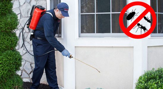 Lapseki Gümüşkurt İlaçlama böcek ilaçlama ve haşere kontrolü — ilaclama-tr.com